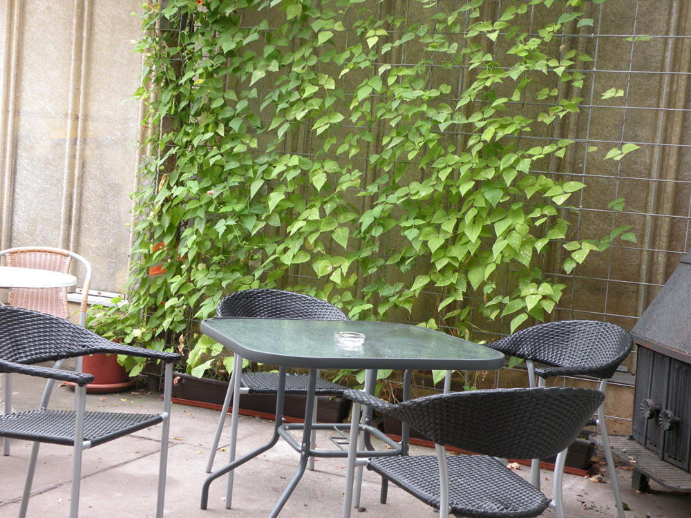 Apartments Schramm Айзенах Екстериор снимка